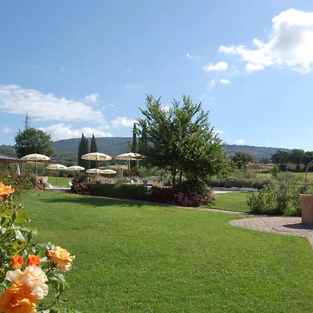 Anna Boccali Corciano