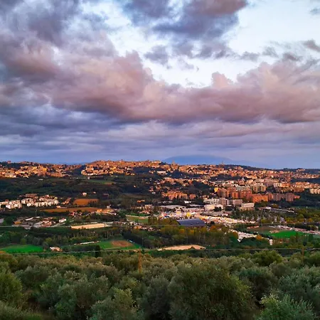 Anna Boccali Corciano