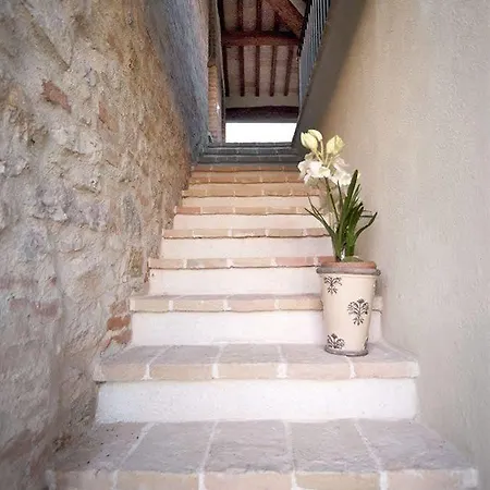 Country house Anna Boccali *